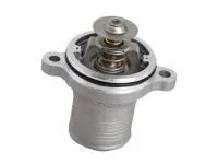 Термостат 2542267