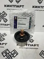 Термостат 6004216630