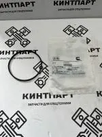 Кольцо уплотнительное корпуса шестерен 3820945 3820028