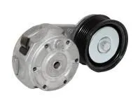 Натяжитель Ремня 2756558