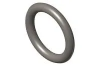 O-Ring Seal