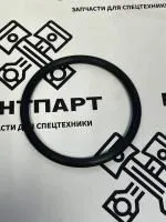 Кольцо уплотнительное водяного насоса 3007512