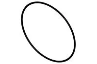 О Кольцо Крышки Помпы 3820791