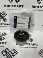 Термостат 6004216630