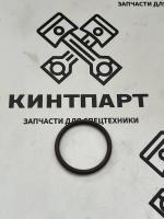 2303775 9X7419, 2303775 Кольцо Форсунки 230