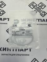 5529128 5529128 Кольцо Уплотнительное Гильзы Цилиндра