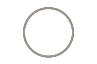 3820946 121346, 3820029, 3820946 Кольцо