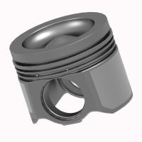 Поршень Со Стопорн Кольцами 3889353
