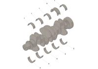 3802010 4955855, 3802010 Вкладыши Коренные STD