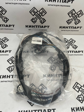 4250289 Жгут Проводов
