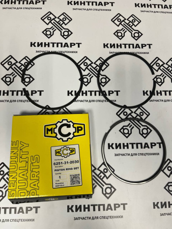 6251312030 Кольца Поршневые