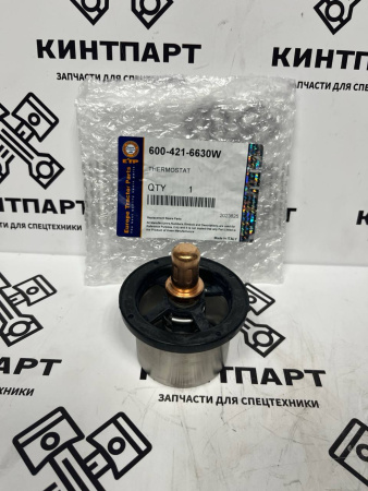 6004216630W Термостат