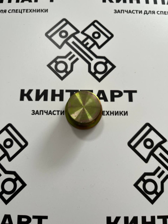 9S8009 CA9S8009 Заглушка